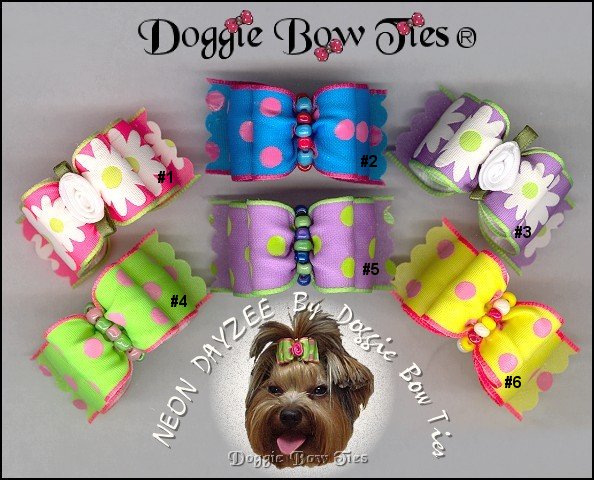 Neon Dayzee Dog Bows