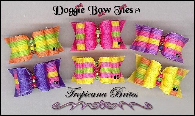 Tropicana Brites Dog Bows