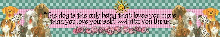 Pet Line dog bows banner