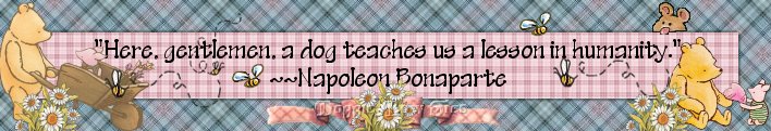 Dog Bows by Doggie Bow Ties