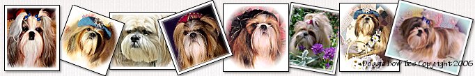 Mini phtographs of canine photography