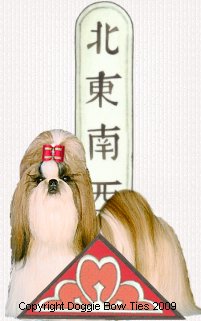 North, South, East, West~Doggie Bow Ties