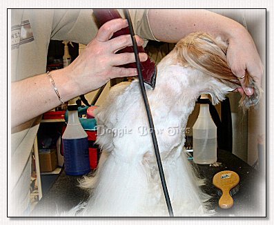 Image: Finishing the neck area with the shave.