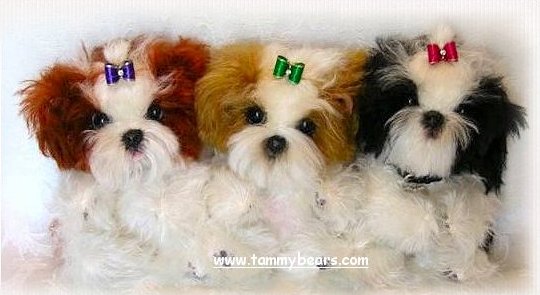 Shih tzu puppy soft sculpture babies modeling Baby Dog Bows.