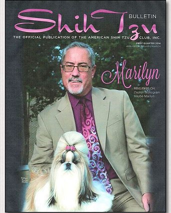 Shih Tzu-BISS Multi Group Winning Ch. Zephyr Monogram Maybe Marilyn