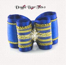 Dog Bow- Full Size Petite-Gold Chevron-Royal Blue