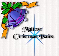 Maltese Christmas Pairs
