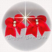 Maltese Pairs Dog Bow- Velvet Pairs RED