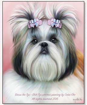 Shih Tzu-