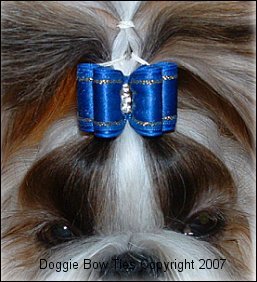 How To Make Shih Tzu Show Dog Topknots by Doggie Bow Ties