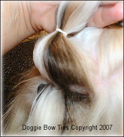Image:  Do not part too far down.  Part at least 1/4 inch above the nose stop and make sure that the part is straight across.