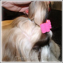 Image: Now place your bow onto the front section of hair.
