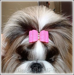 Image: Your finished topknot in place with a pretty dog bow from Doggie Bow Ties. Notice the pretty poof in front? Your topknot dog bow is securely in place and your topknot reveals the pretty Shih tzu face and eyes.
