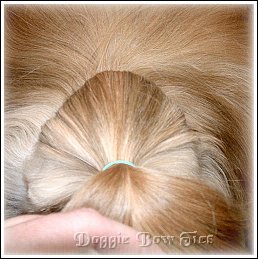 Image: Your section of topknot hair will be in a triangular shape