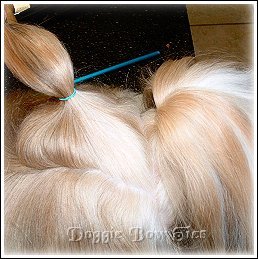 Image : Divide this big section into two equal sections of hair.