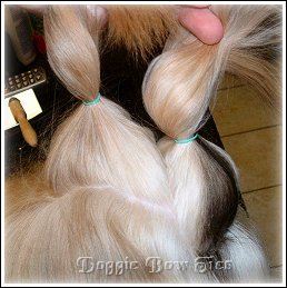 Image: You will have a front section and a back section of topknot hair.