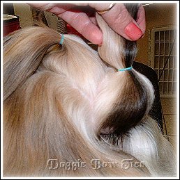 Image: A gentle front poof. This secures your front section to the head and will make your front section poof out in front.